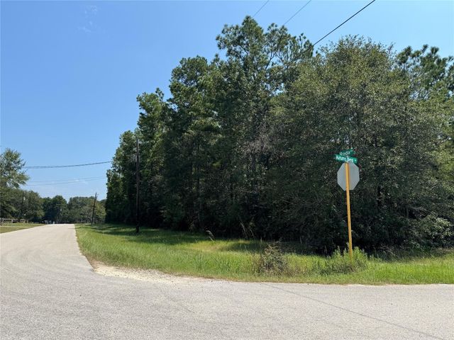 TBD Autumn Bend Dr, Conroe, TX 77303