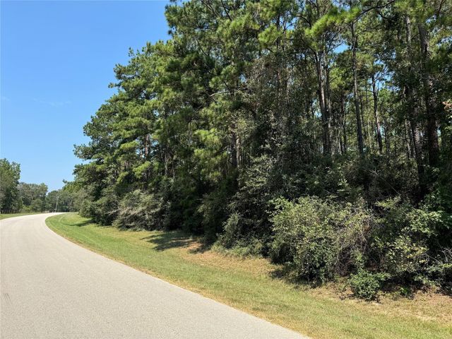 TBD Autumn Bend Dr, Conroe, TX 77303
