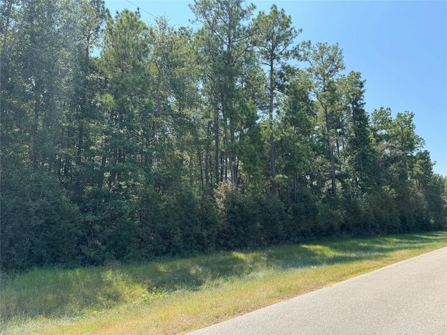 TBD Autumn Bend Dr, Conroe, TX 77303