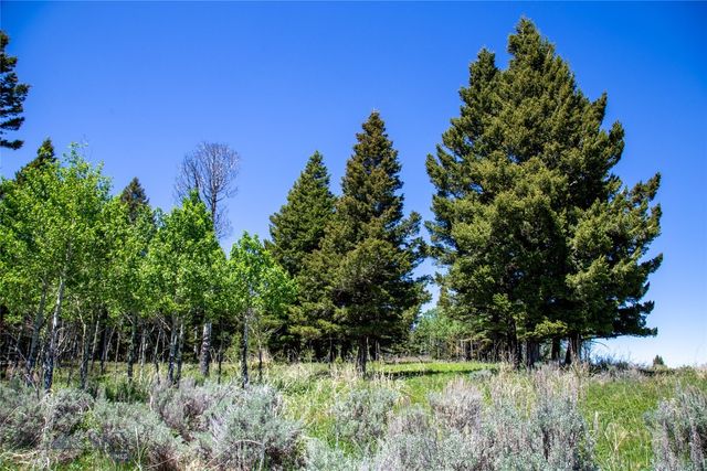 Lot 38 Sun West Ranch, Cameron, MT 59720