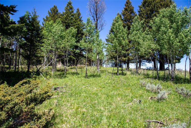 Lot 38 Sun West Ranch, Cameron, MT 59720