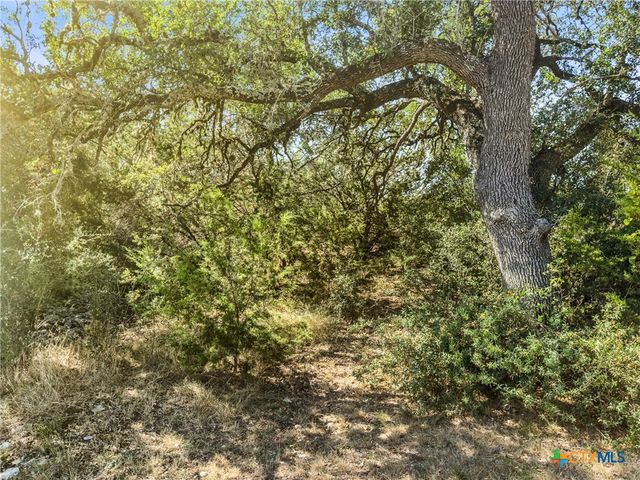 1043 Long Hollow, Canyon Lake, TX 78133