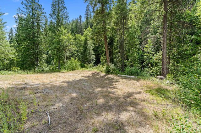 4440 Northport Waneta Rd, Northport, WA 99114