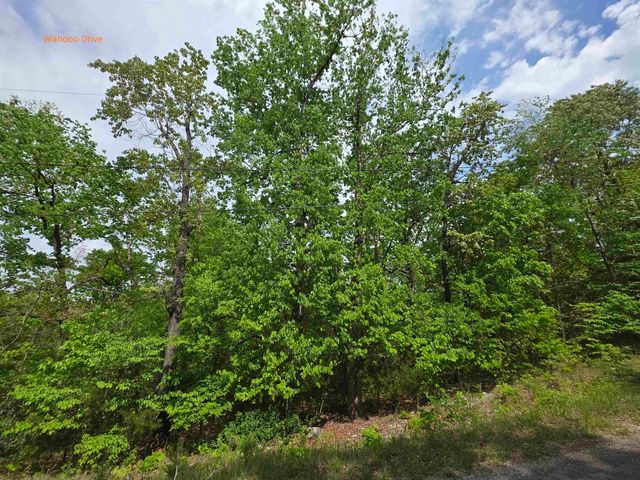 Multiple Wahoo, Wabash & Ora Trace, Cherokee Village, AR 72529