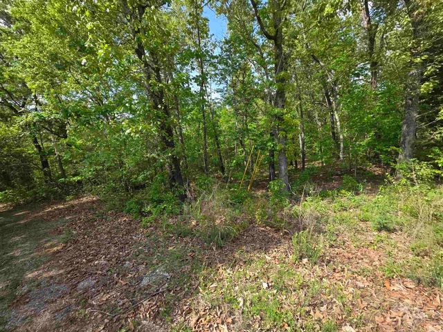 Multiple Wahoo, Wabash & Ora Trace, Cherokee Village, AR 72529