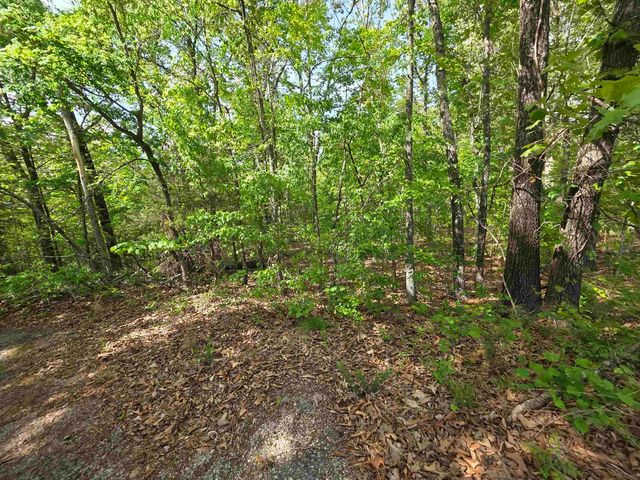 Multiple Wahoo, Wabash & Ora Trace, Cherokee Village, AR 72529