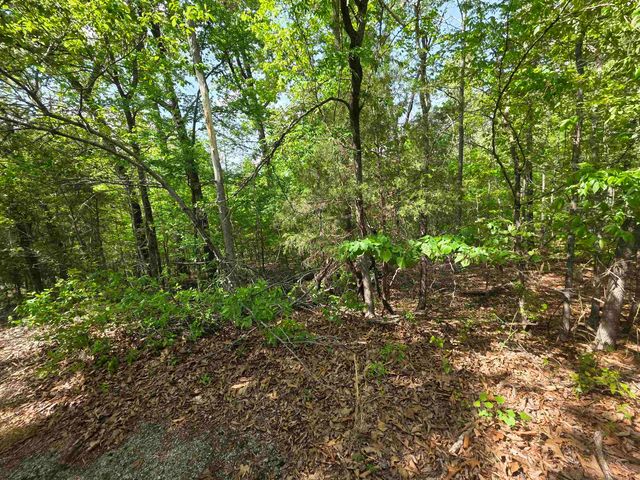 Multiple Wahoo, Wabash & Ora Trace, Cherokee Village, AR 72529