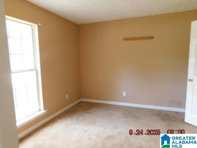 1255 COUNTY ROAD 87, Maplesville, AL 36750