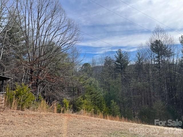 3645 Blue Door School Road, Lenoir, NC 28645