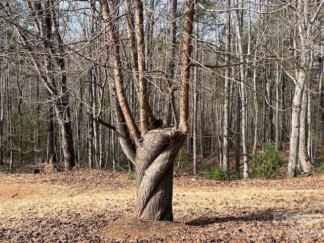 3645 Blue Door School Road, Lenoir, NC 28645