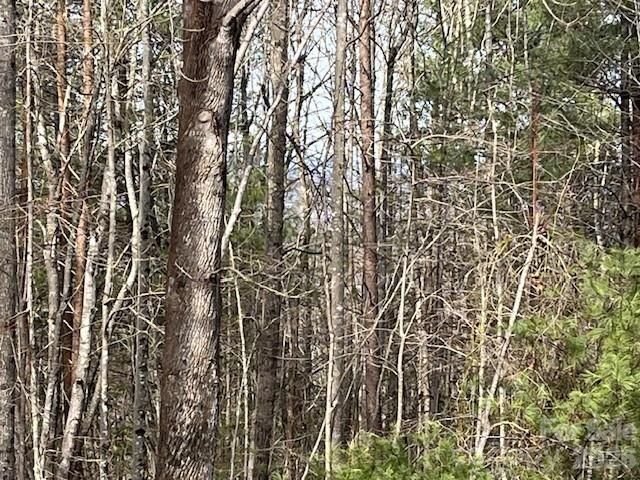 3645 Blue Door School Road, Lenoir, NC 28645