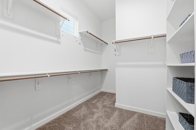 817 Thornton Road F, Houston, TX 77018