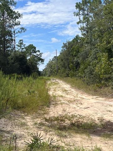 5614 S GEORGIAN ROAD, Homosassa, FL 34446