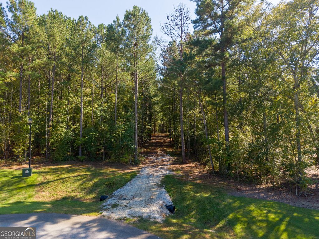 190 Grace Hope Drive, Brooks, GA 30205 — photo 2