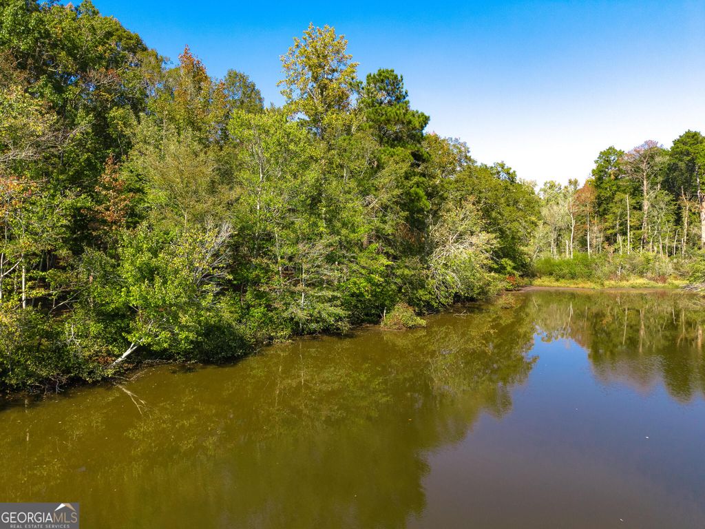 190 Grace Hope Drive, Brooks, GA 30205 — photo 4