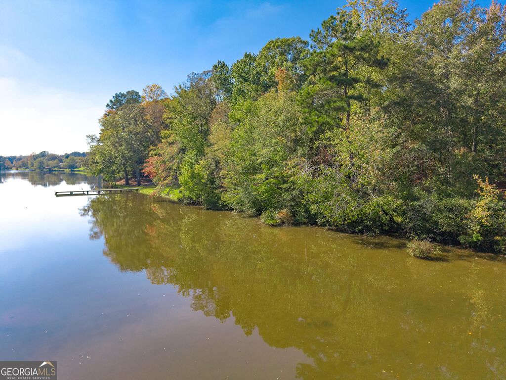 190 Grace Hope Drive, Brooks, GA 30205 — photo 5
