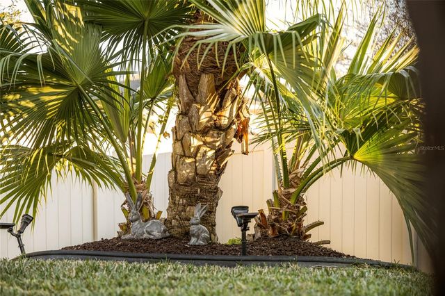 17105 GATHERING PLACE CIRCLE, Clermont, FL 34711