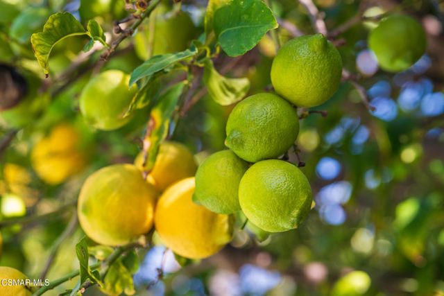 2756 N Dalenhurst Place, Simi Valley, CA 93065