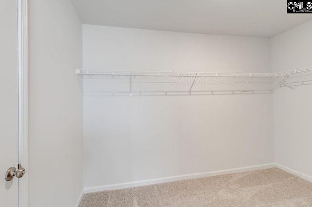 3687 Stedding Place, Lexington, SC 29073