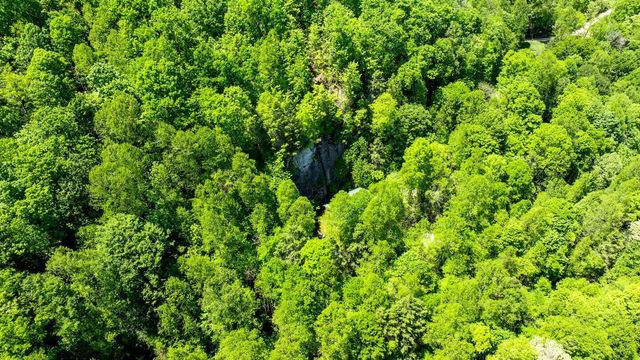 646 Right Fork Fixer Road, Zoe, KY 41397