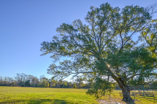 13612 County Road 3900, Athens, TX 75752