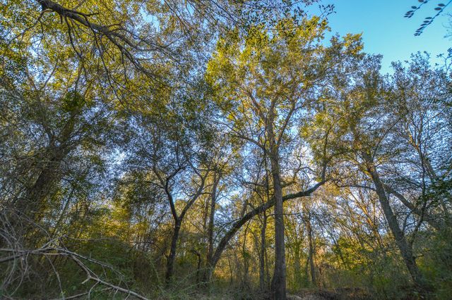 13612 County Road 3900, Athens, TX 75752