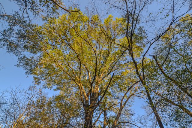 13612 County Road 3900, Athens, TX 75752