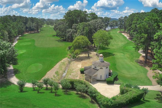 8 Winthrop Harbor, Montgomery, TX 77356