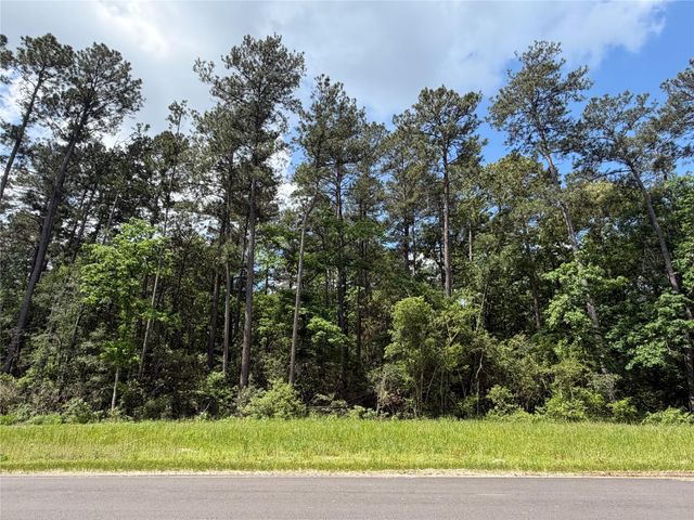 15744 Ridge Oak Road, Willis, TX 77378