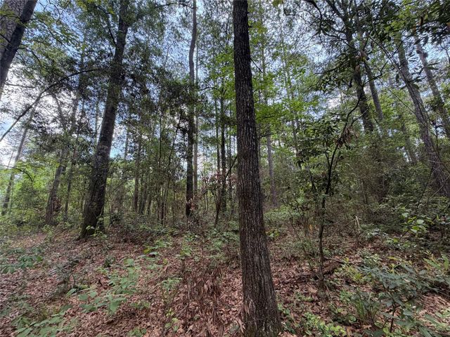 15744 Ridge Oak Road, Willis, TX 77378