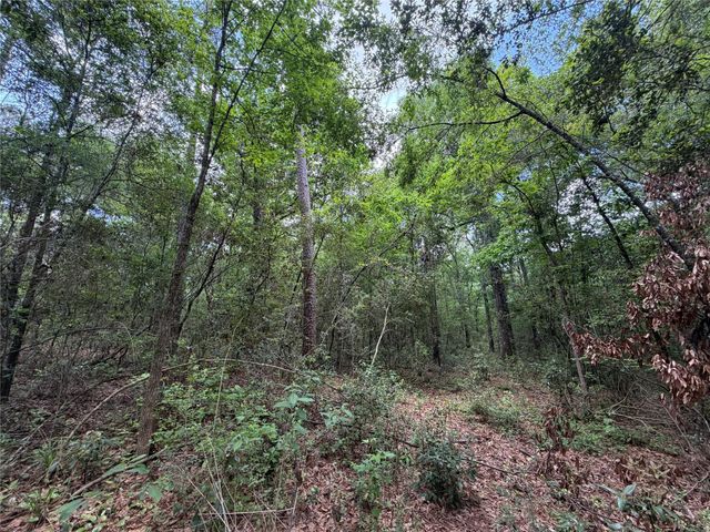 15744 Ridge Oak Road, Willis, TX 77378