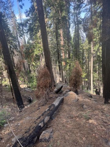 54864 Alder Drive, Springville, CA 93265