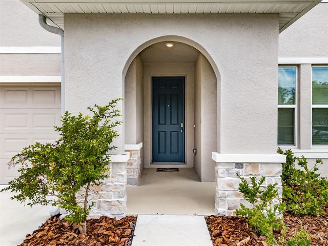 13090 BROOKSIDE MOSS DRIVE, Riverview, FL 33579