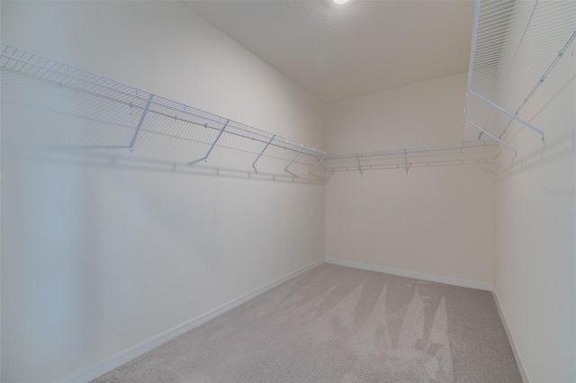 13090 BROOKSIDE MOSS DRIVE, Riverview, FL 33579