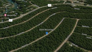 Lot 455 Wood Forest, Livingston, TX 77351