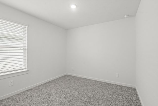 1706 Stelvio Pass Drive, Richmond, TX 77406