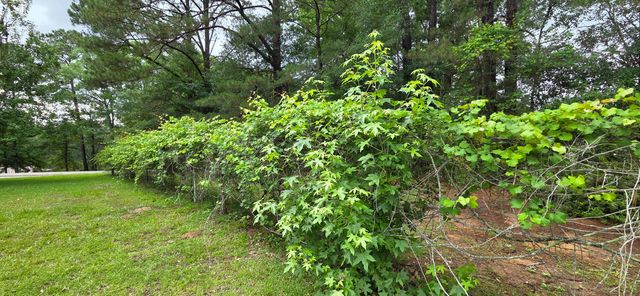 603 Leeville, Petal, MS 39465