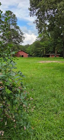 603 Leeville, Petal, MS 39465