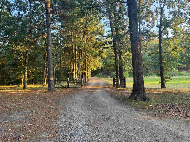 56 Brandon, Mayflower, AR 72106