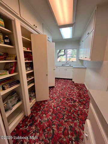 103 Yucca Terrace, Plainview, TX 79072