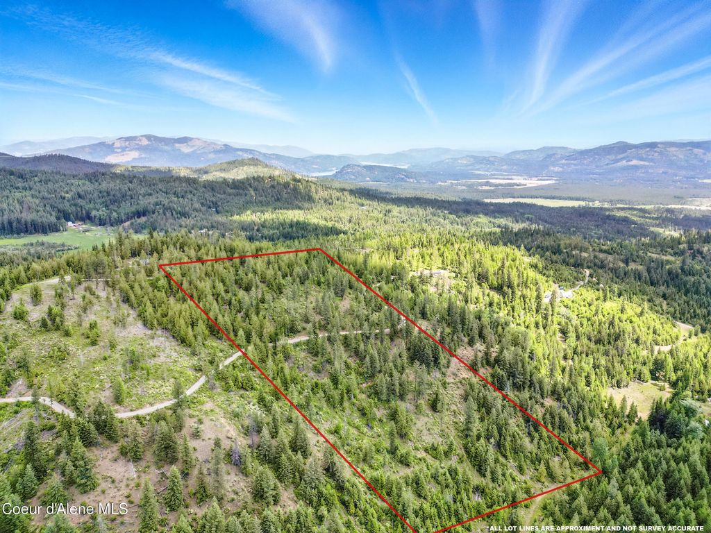 NNA Mystery Moose 20Acres Ln, Priest River, ID 83856