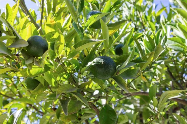 1543 Norwich Avenue, Thousand Oaks, CA 91360