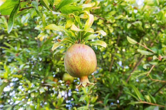 1543 Norwich Avenue, Thousand Oaks, CA 91360