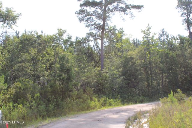 800 Dr Young Road, Hampton, SC 29924