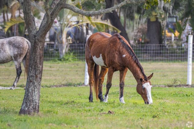 910 BAYSHORE DRIVE, Terra Ceia, FL 34250