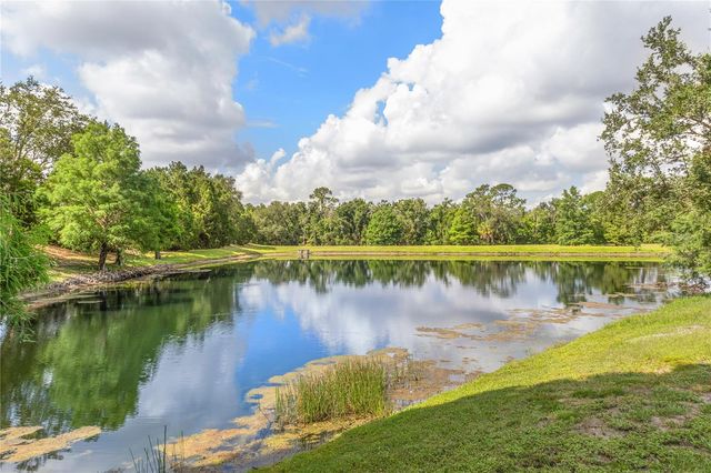 14243 CATTLE EGRET PLACE, Bradenton, FL 34202