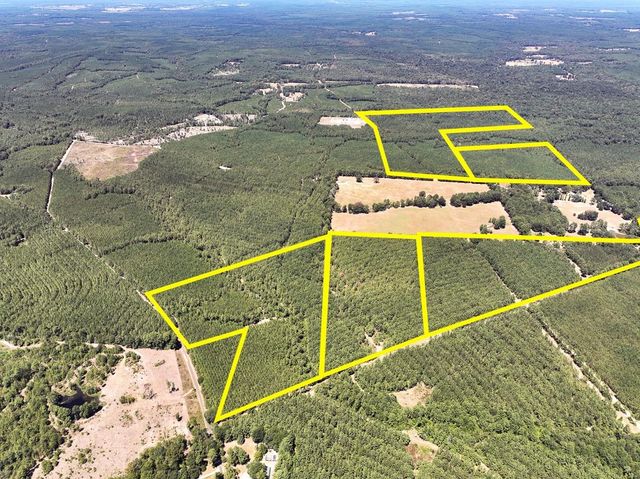 16 Joskey Dykes Rd, Zavalla, TX 75980