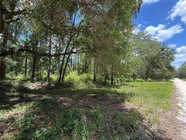 SW 53RD PL, Ocala, FL 34481