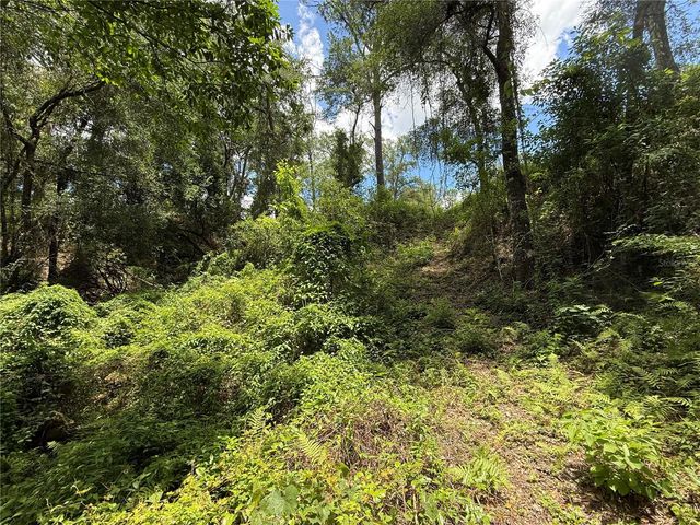 SW 53RD PL, Ocala, FL 34481