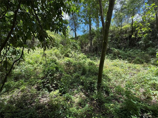 SW 53RD PL, Ocala, FL 34481